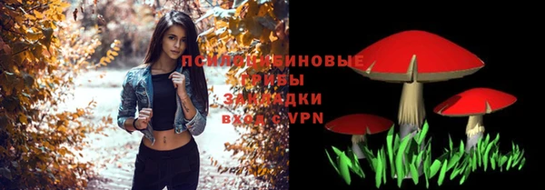 герыч Вяземский
